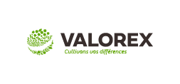 Logo Valorex